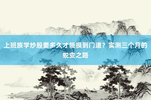 上班族学炒股要多久才能摸到门道？实测三个月的蜕变之路