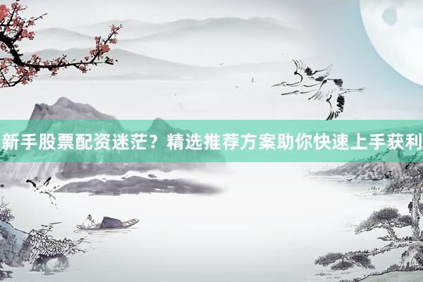 新手股票配资迷茫？精选推荐方案助你快速上手获利