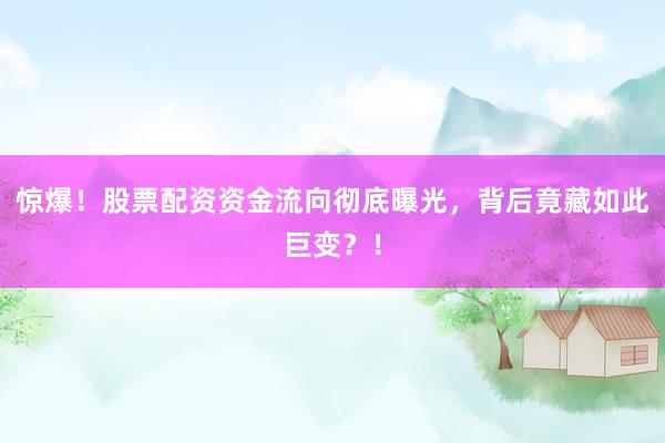 惊爆！股票配资资金流向彻底曝光，背后竟藏如此巨变？！