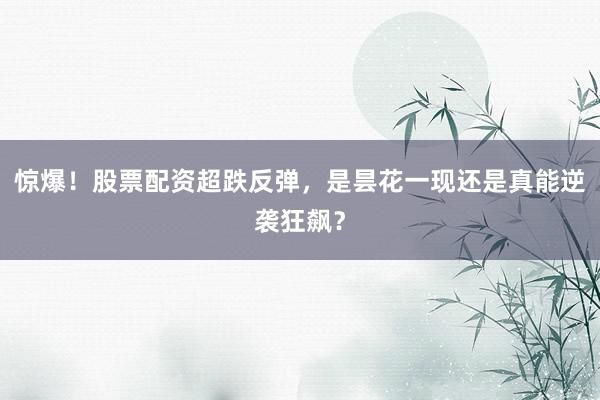 惊爆！股票配资超跌反弹，是昙花一现还是真能逆袭狂飙？