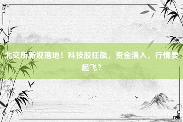 北交所新规落地！科技股狂飙，资金涌入，行情要起飞？