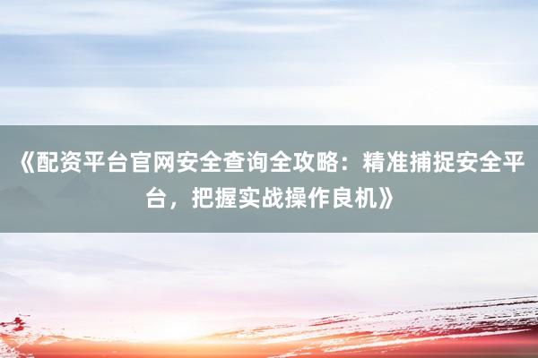 《配资平台官网安全查询全攻略：精准捕捉安全平台，把握实战操作良机》