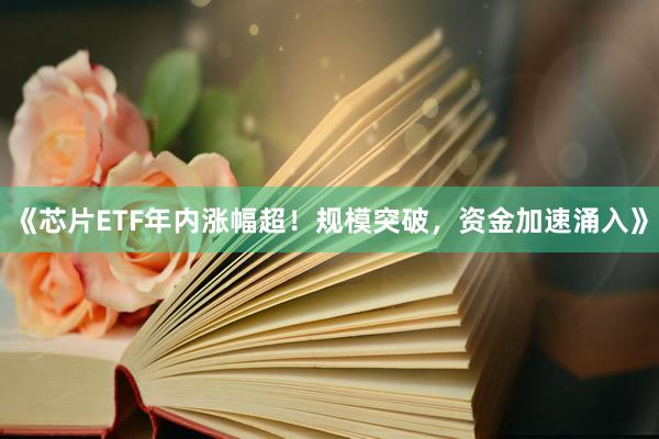《芯片ETF年内涨幅超！规模突破，资金加速涌入》